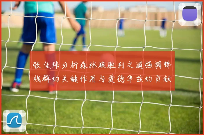 张佳玮分析森林狼胜利之道强调锋线群的关键作用与爱德华兹的贡献