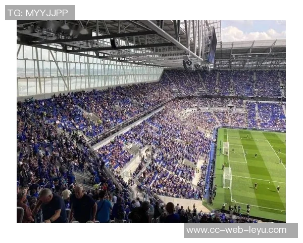 多家俱乐部关注詹姆斯加纳埃弗顿力争续约球员