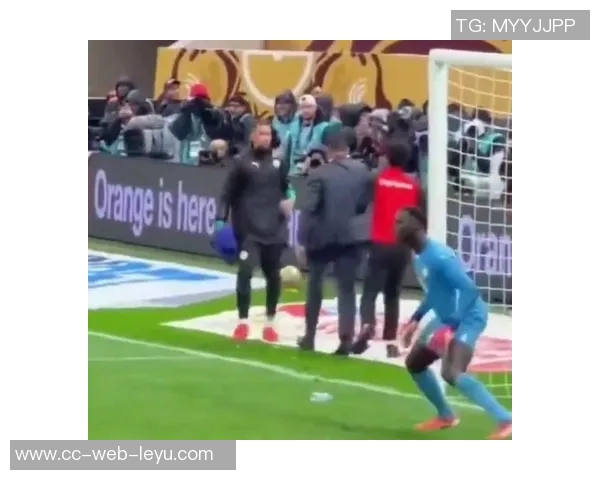 非洲杯决赛冲突引发罢赛非洲足联强烈谴责并启动录像审查