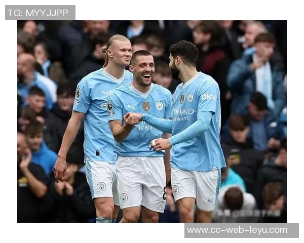 武什科维奇揭秘热刺重视自己拒绝曼城背后的故事与决策